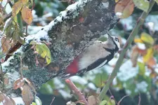 DSCF7918 (2).webp