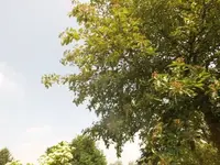 Bilda590.webp