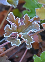 DSC_8623.webp