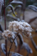 DSC_8634.webp