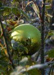 DSC_8655.JPG