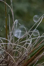 IMG_9719-2.jpg