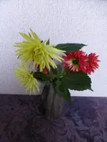 P1020300.webp