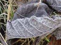 P1020278.webp