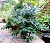 IMG_6600 (2).webp