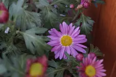 _DSC1155.webp