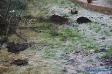 comp_DSC05998.webp