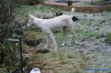 comp_DSC05997.webp