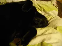 IMGP3418.webp