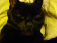 IMGP3423.webp