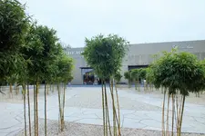DSCF7943 (2).webp