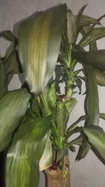 tfn5lu7e.webp
