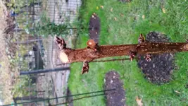 20161115_154508.webp