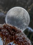 IMG_4524.jpg