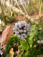 P1240913.webp