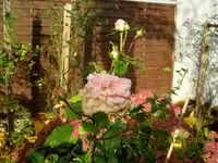 IMG_7157.webp