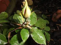 DSCI0814.JPG