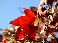 P1020304.webp
