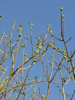 P1020307.webp