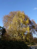 P1020346.jpg