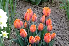 2016_04243april20160043.JPG