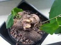 20161113_123714.webp