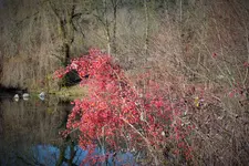 DSCF7974 (2).webp