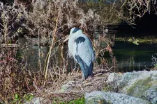 DSCF7968 (2).webp