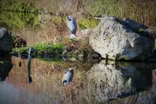 DSCF7973 (2).webp