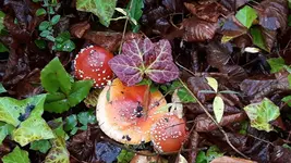 20161116_101637.webp