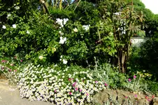DSCF1734.webp