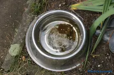 comp_DSC06012.webp