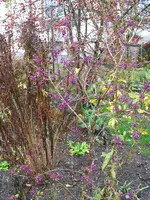 IMG_7600.webp