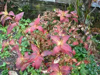 IMG_7601.webp