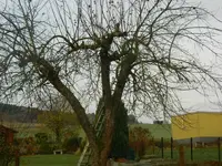 DSCN7762.webp