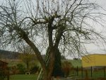 DSCN7762.JPG
