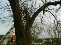 DSCN7761.webp