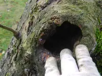 DSCN7760.webp