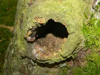 DSCN7759.JPG