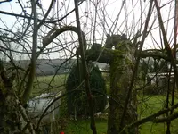 DSCN7756.JPG