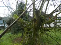 DSCN7757.webp