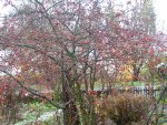 IMG_7603.jpg