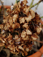 hrbst16 (32).webp