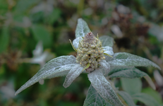 hrbst16 (28).webp