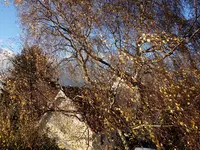 hrbst16 (26).webp