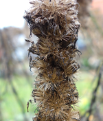 hrbst16 (33).webp