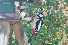 DSCF7917 (2).webp