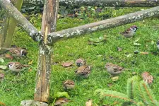 DSCF7939 (2).webp