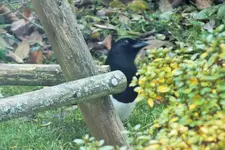 DSCF7993 (2).webp