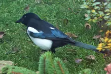 DSCF7997 (2).webp